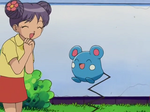 AG034 - Azurill d'un Dresseur.png