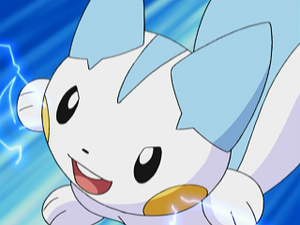 DP075 - Pachirisu d'Aurore.png