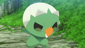 Pimito (sauvage)