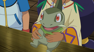 NB060 - Coupenotte d'Iris.png