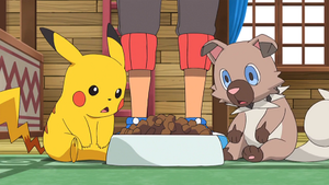 SL010 - Rocabot du Professeur Euphorbe.png