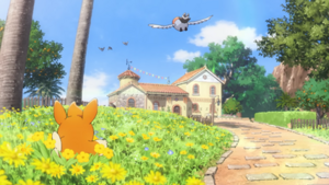 VP04 - Passerouge.png