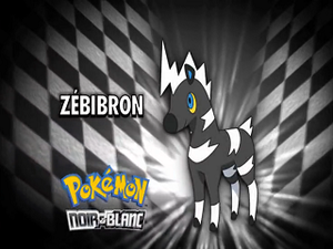 Épisode 685 - Pokémon inconnu révélé.png