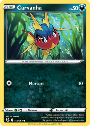Carte Épée et Bouclier Poing de Fusion 162.png