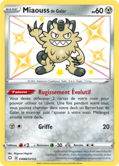 Miaouss de Galar (Destinées Radieuses SV086)