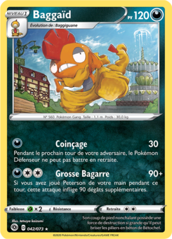 Baggaïd (La Voie du Maître 042)