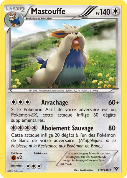 Fichier:Carte XY 110.png