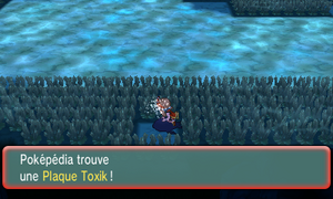 Chenal 129 Plaque Toxik ROSA.png