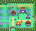 Floraville dans Pokémon Platine.