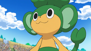 NB072 - Feuillajou de Rachid.png