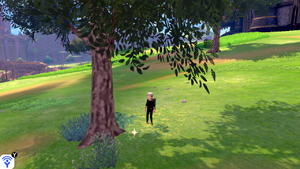 Plateau de Kickenham Petit Champi ou Gros Champi ou Champi Suave 2 EB.png