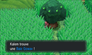 Route 6 Baie Gowav XY.png