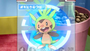 XY010 - Marisson Pokédex.png