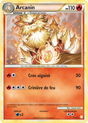 Carte HeartGold & SoulSilver 1.png