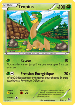 Carte Noir & Blanc Explosion Plasma 5.png