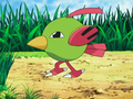 Natu (sauvage)