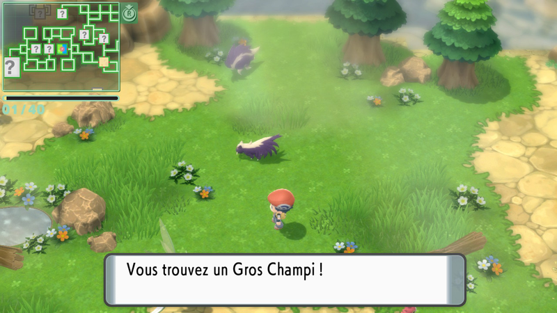 Fichier:Grotte de la Rivière Gros Champi DEPS.png