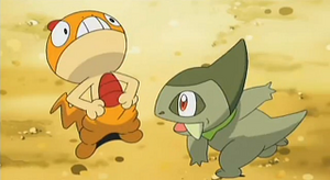 NB027 - Baggiguane de Sacha et Coupenotte d'Iris.png