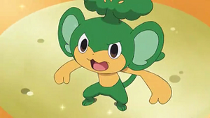 NB037 - Feuillajou de Rachid.png