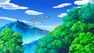 NB112 - Poichigeon.png