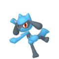 Riolu