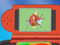 Description de Magicarpe dans l'épisode 487.