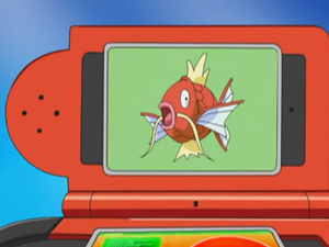 DP021 - Magicarpe Pokédex.png