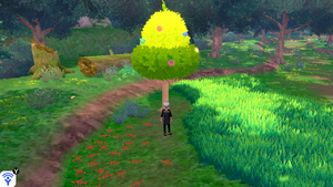 Forêt Flexion Arbre à Baies 5 EB.png