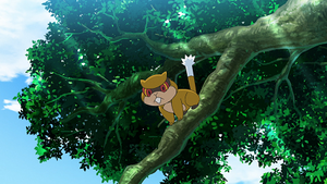 LV137 - Ratentif.png