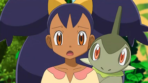 NB023 - Coupenotte d'Iris.png