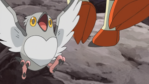 NB138 - Poichigeon.png