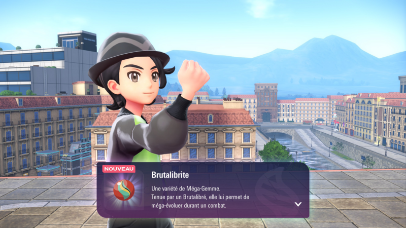 Fichier:Rosavilliers 3e arrondissement Brutalibrite LPZA.png