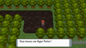 Route 212 Hyper Potion DEPS.png