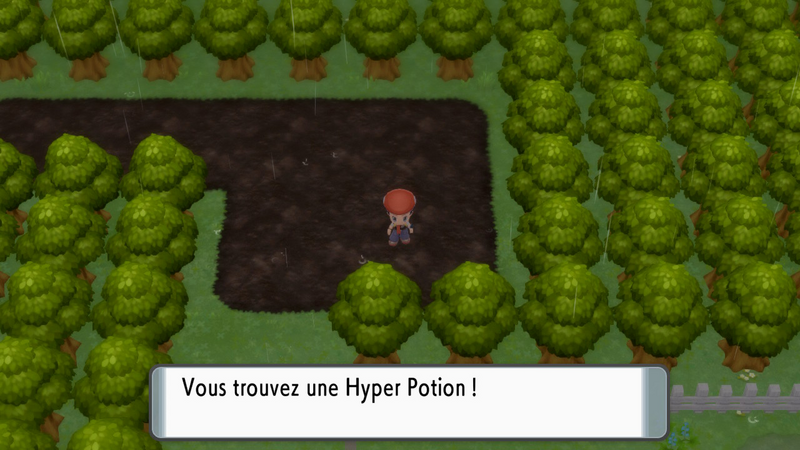 Fichier:Route 212 Hyper Potion DEPS.png