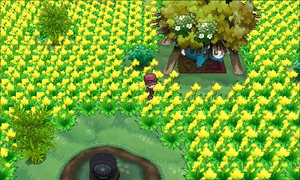 Village Pokémon fleurs XY.png