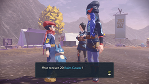 Bivouac du Marais Baie Gowav LPA.png