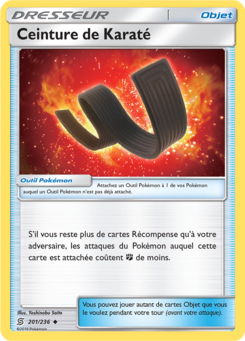 Ceinture de Karaté (Soleil et Lune Harmonie des Esprits 201)