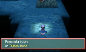 Chenal 107 Tesson Jaune ROSA.png