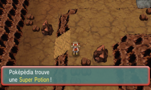 Grotte Zénith Super Potion ROSA.png