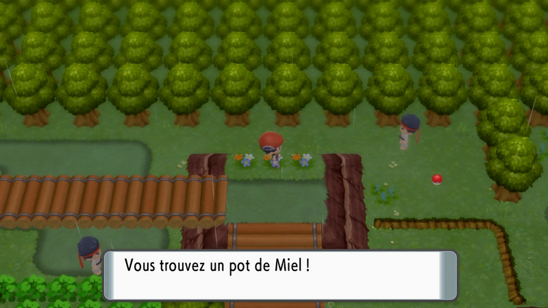 Fichier:Route 215 Miel DEPS.png