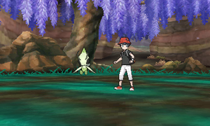 Studio Photo USUL - Arrière-plan 47.png