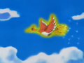 Ho-Oh (sauvage)