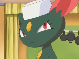 Farfuret de Rhoda.png