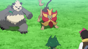LH114 - Pandarbare et Némélios sauvages.png