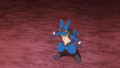 Lucario (de Sacha)