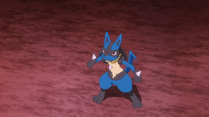 LV109 - Lucario de Sacha.png