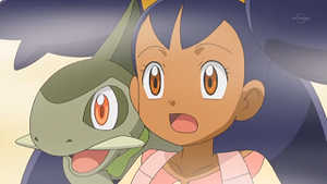 NB021 - Coupenotte d'Iris.png