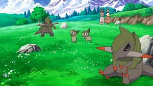 NB100 - Incisache et Coupenotte.png