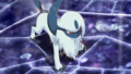 Absol (d'Elsa-Mina)