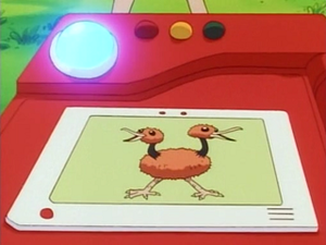 EP065 - Doduo Pokédex.png